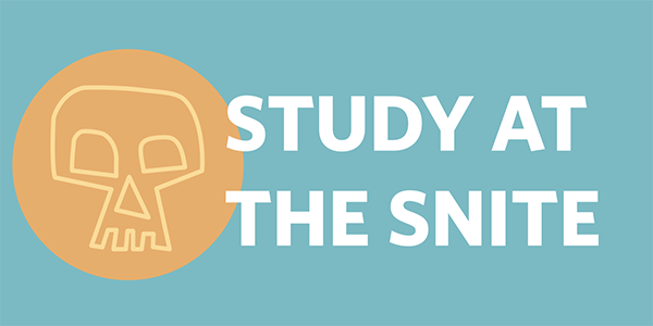 Studyatthesnite Web