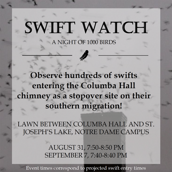 Swiftwatch